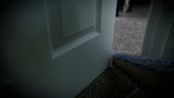 BODY SNATCHER VORE 2