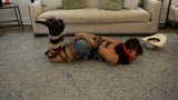 COWGIRL BONDAGE - ESTELLE