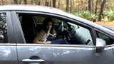 DEVYN OUT FOR A DRIVE