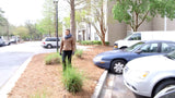LORA'S SPRING DAY