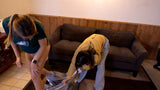 POV PANTSING - NOV 2022