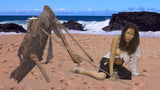 CASTAWAY