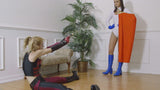 AMAZING ALEXIS VS HARLEY QUINN