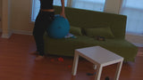 LEXI BALLOON POPPING
