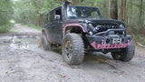 STUCK IN THE MUD - PEYTON